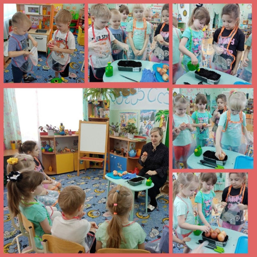 Огород на окне Огород на окне.